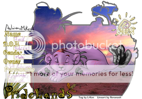 User Image